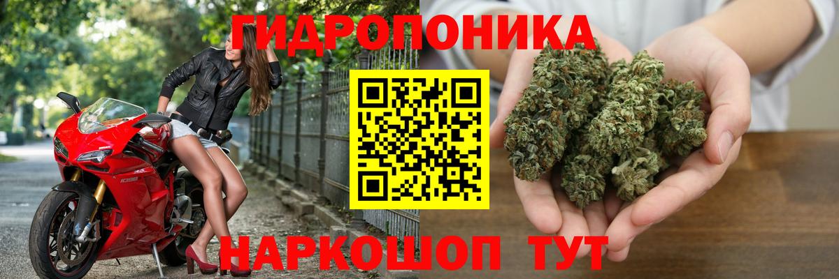 Заречный  Бошки Шишки планчик  Шишки марихуана гибрид  Вход с VPN  Бошки Шишки VHQ 